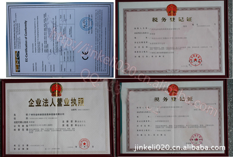 461817937_1743929544