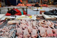 Ϻرлݽг йȷ16H7N9в(1)