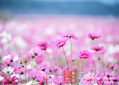 拒绝春季过敏 教你正确护理肌肤