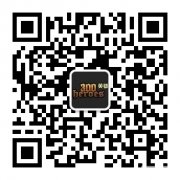 ��300Ӣ�ۡ�������ЧƤ���������׵ǳ�