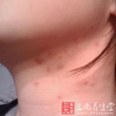 ���ǳ������ַ���Ϊ�����������