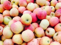 �Ŷ���ˮ�� ����������ӵ�����ἡ��