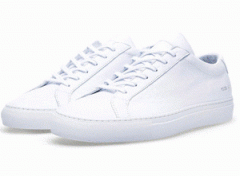 ʶݳЬƷCommon Projects