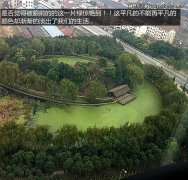���Ϸ��ı�����,���Ǿ��ñ������ʺ����Ϸ�������?