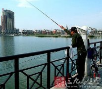 6ַǳ洹