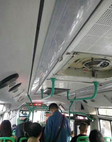 武汉公交车长蘑菇