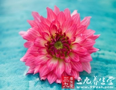 ݺʹʳ