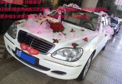 ޺н鳵ޣԶϵ
