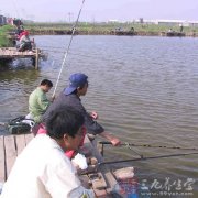 㼼 紺(11)