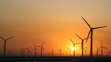 ��һ�ֵ�Ŀ�ʼ��ǰ�ƽ� ��ֻ�����ĸ����ɷ���