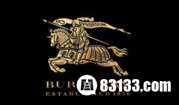 ����ʮ���ݳ�Ʒ��