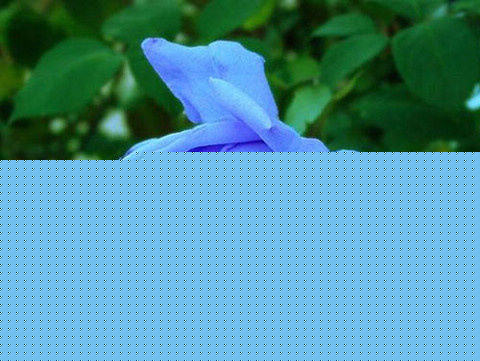 оѡɢ3ƪ