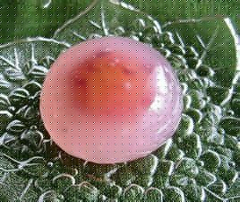 ʽ㣺ÿֺóԵˮͷ