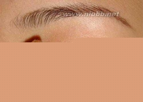 èױ̳ ױʸèױ̳