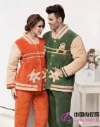 �������£�����ʥ���ֻ�Ԫ��