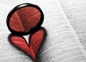 ���ڳɳ��Ļ��� û������Զʮ����