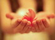 ����֮��Ļ��� ������������ϻ۵���