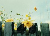 ˼�����˵Ļ��� ֻ�������ŵ�һ���ϧ��ǰ