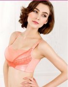 �һ����ﶬ��Ʒ������������