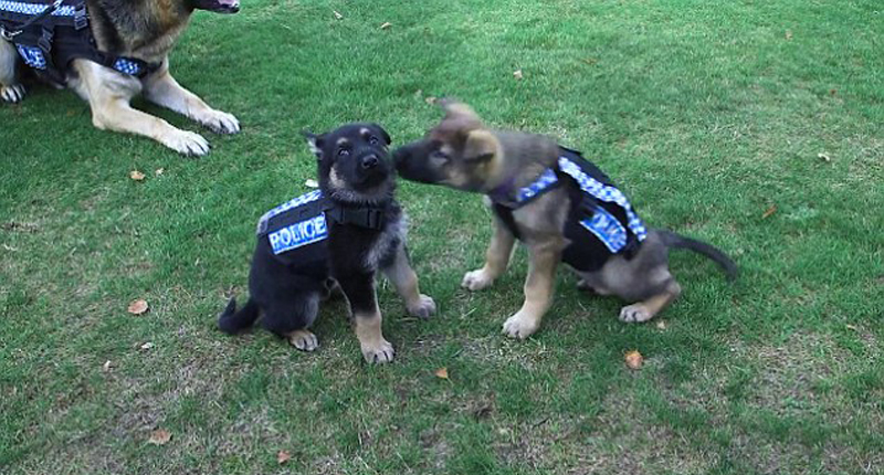 ��ͼ���ȷ��ˣ���������Ȯ�Դ��¿���̱��� 