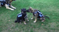 ��ͼ���ȷ��ˣ���������Ȯ�Դ��¿���̱���