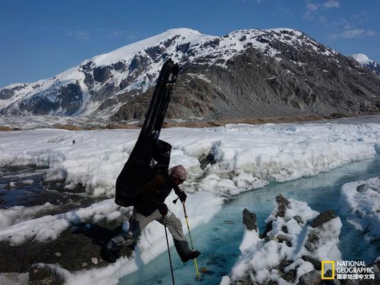 Vincent������������ķ��������ս�ԣ���������������