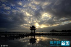 û�����������8848�ֻ��ٷ�΢����Ӧ�й�������Э��