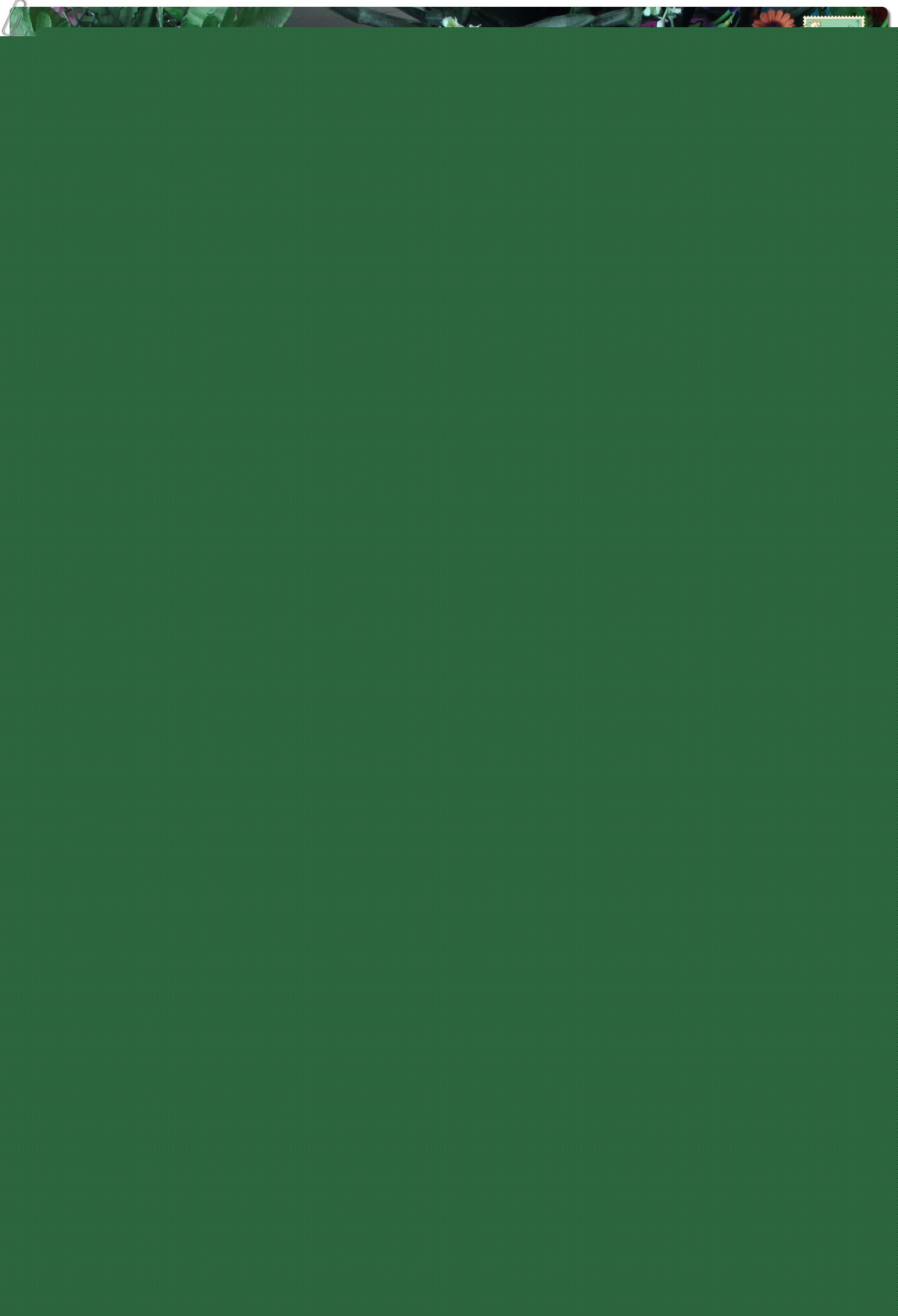 ---ͯỨƿ------2014.35