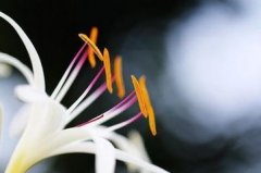 ����֮���������Ļ���