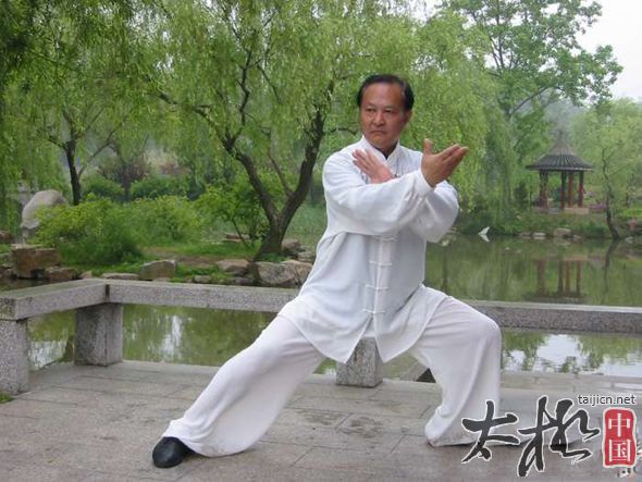 什么和缓慢是杨氏太极拳训练内劲的基本条件