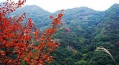 ����ɽ����̨ɽ����Ͽ��ǧ�����Ɲ�Ϫ�羰����3�ո�����*��4��2��