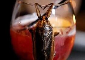 ���������˽ڳ���� ��ҳ���