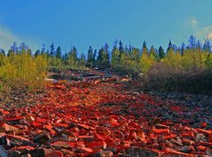 �ɶ�����ű����Լ���·�߹���