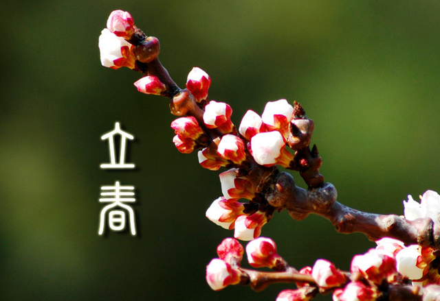 24����������ʲô��˼