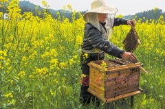 ��ɳ�ܱ��Լ���ʤ���Ƽ���̤���ͻ�����ʱ