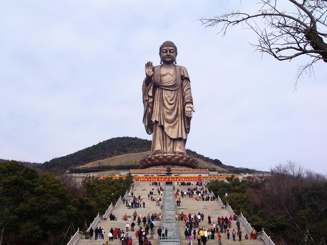 2017��һ���������ι���