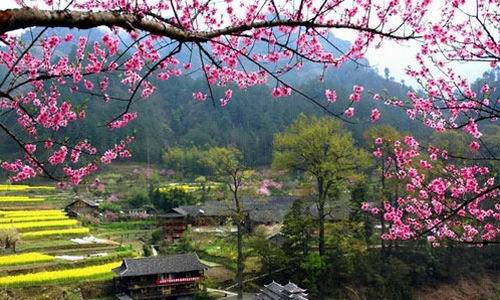 ��ɳ�Լ����ܱ߾����Ƽ�