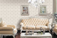 ����ͥװ��ָ�ϡ��Ƚ���ǽ����ǽֽ����ȱ�㣬ѡ�����پ��ᡣ