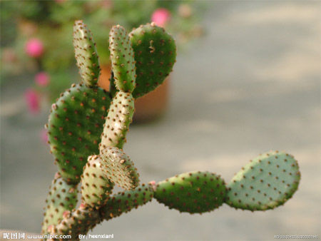 װ�޺����ȥζ