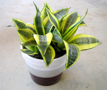 װ�޺����ȥζ