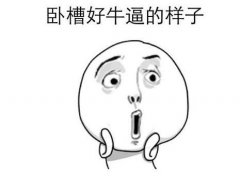 ��Щ����̫������Ķ������������