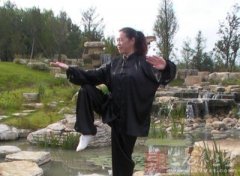 ̫��ȭ��ѧ��Ƶ ̫������ʮ��ʽ��ʾ