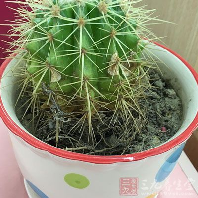 �д̲ſ��Ի���ɷ��������������