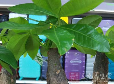 �������̻�����������