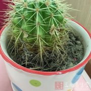 �Ҿӷ�ˮ,�����ʲô�в�,�ڷŽ��ɼ�������ⶫ������׼����