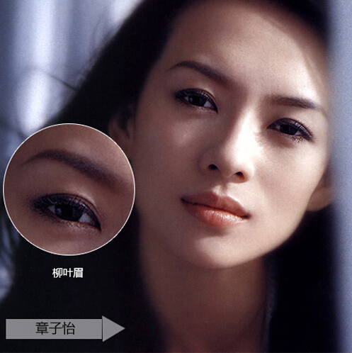 大牌明星眉形各有各的美