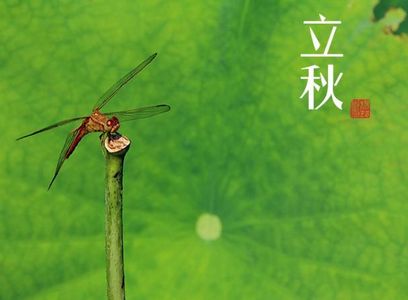 立秋为何要吃饺子是哪的风俗习惯 有趣的立秋风俗活动介绍